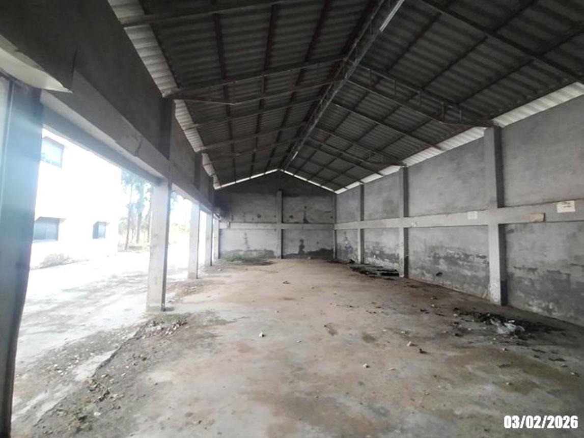 รูป อาคารโรงงาน สำหรับขาย - ท่าลี่ ท่าลี่ เลย - รูปที่ 36/56