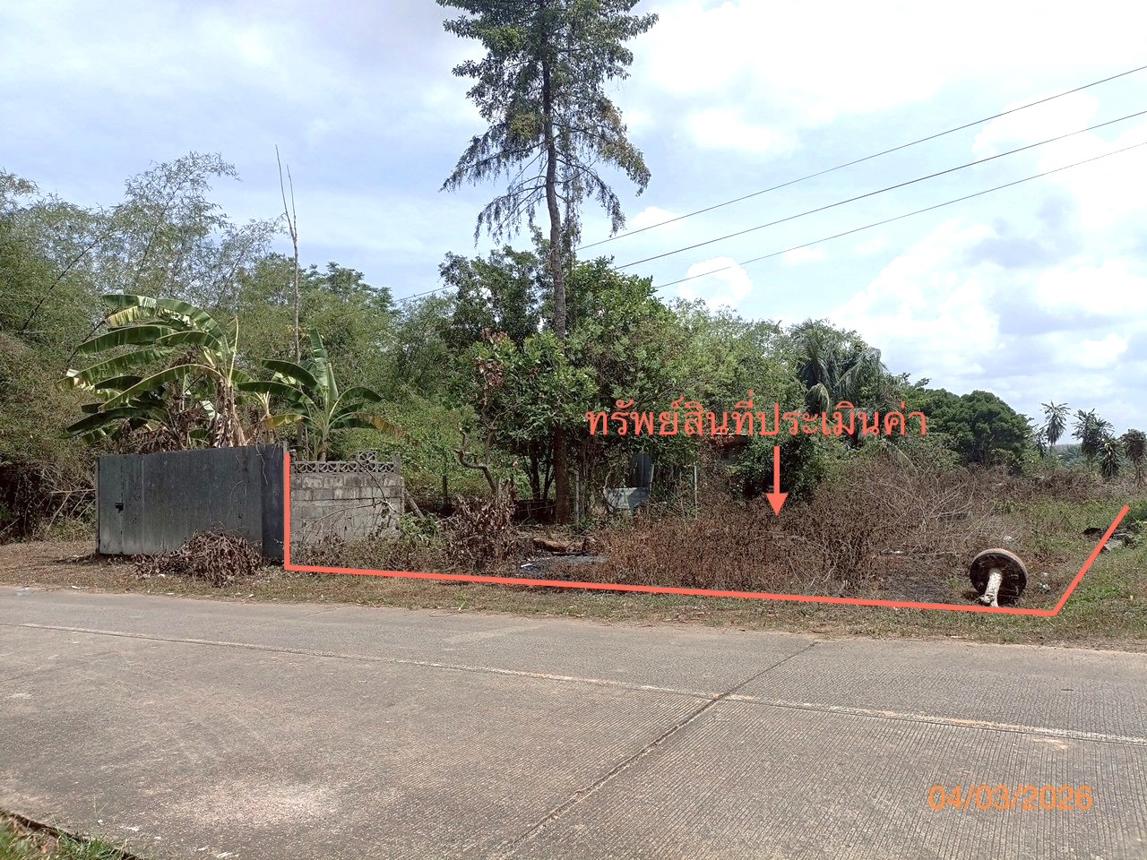 picture LAND 103.7 Sq.w. Muang Trang Trang for 1.7M - 7/16