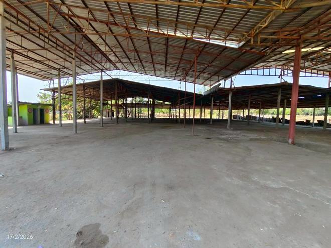 รูป บ้านเดี่ยว 4873 ตร.วา ภูเขียว ชัยภูมิ 6.2M - รูปที่ 38/90
