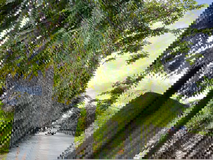 รูป ขายที่ดินอ่อนนุช 20 ไร่ ทำเลดี ถนนกว้าง 0863557948 - รูปที่ 3/5