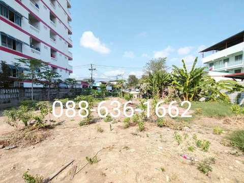 ขายที่ดิน 206ตรว.ทำเลดี พิกัด บางแค เพชรเกษม หนองแขม ใกล้ อพาร์ทเม้นท์ โรงเรียน ตลาด ฯ