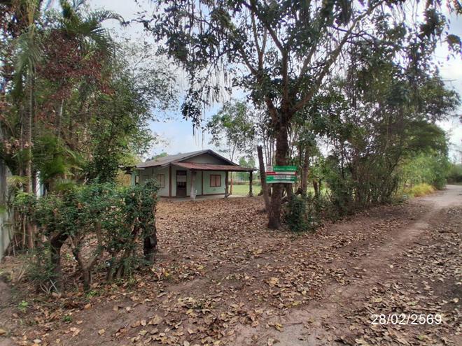 รูป บ้านเดี่ยว 147.3 ตร.วา เมืองยโสธร ยโสธร 493,000 - รูปที่ 1/24