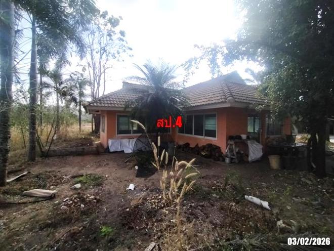 รูป อาคารโรงงาน สำหรับขาย - ท่าลี่ ท่าลี่ เลย - รูปที่ 13/56