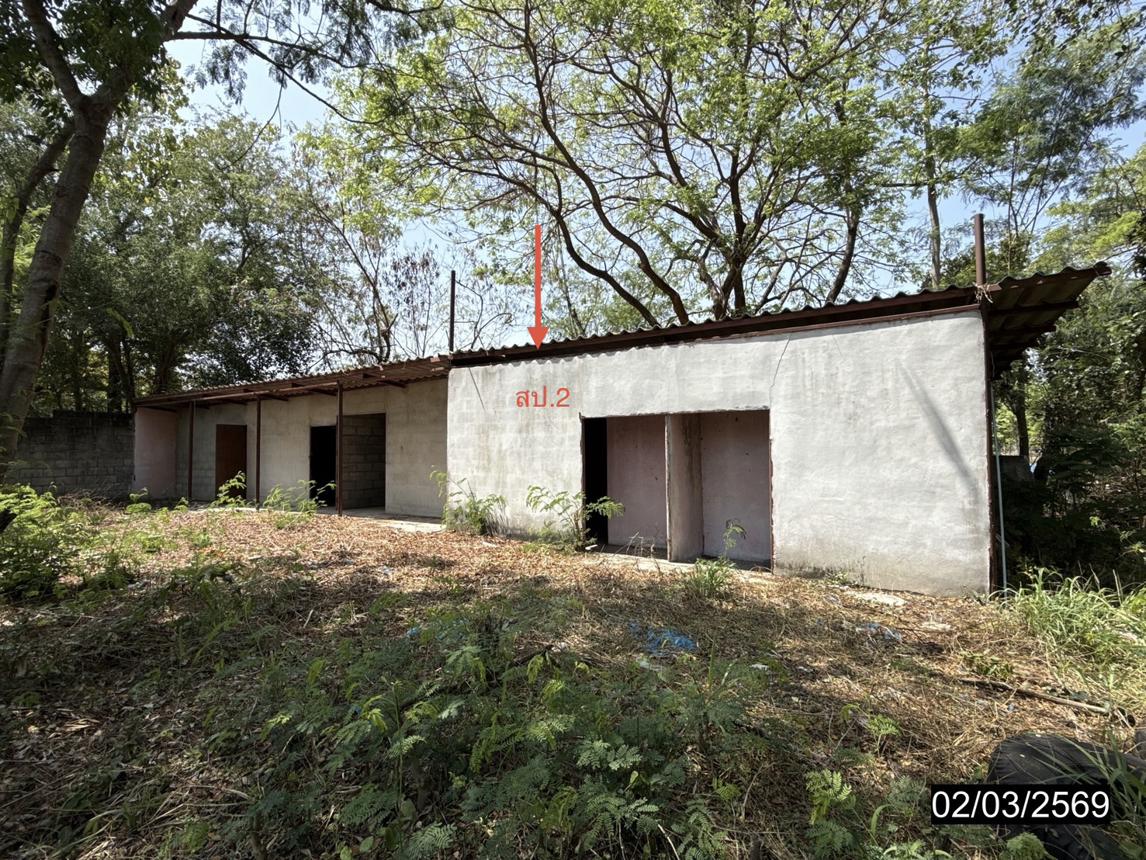 รูป บ้านเดี่ยว 500 ตร.วา หนองกุงศรี กาฬสินธุ์ 13.6M - รูปที่ 30/40