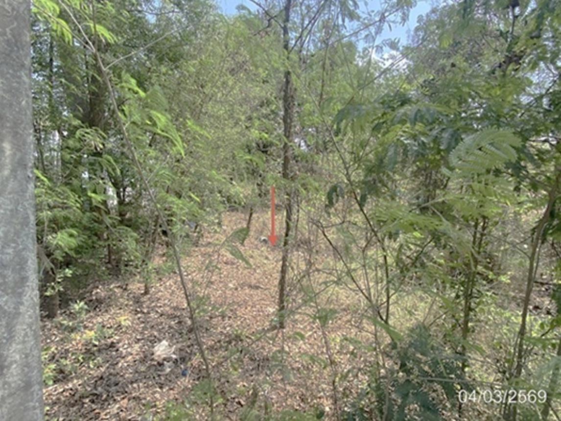 picture LAND 1286.1 Sq.w. Muang Maha Sarakham Maha Sarakham for 5M - 10/18