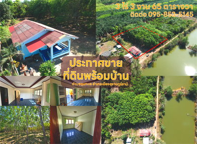 ที่ดิน สุราษฎร์ธานี : ขาย ที่ดินสวนยางพร้อมบ้าน ตำบลขุนทะเล สุราษฎร์ธานี 3 ไร่ 3 งาน 65 ตารางวา