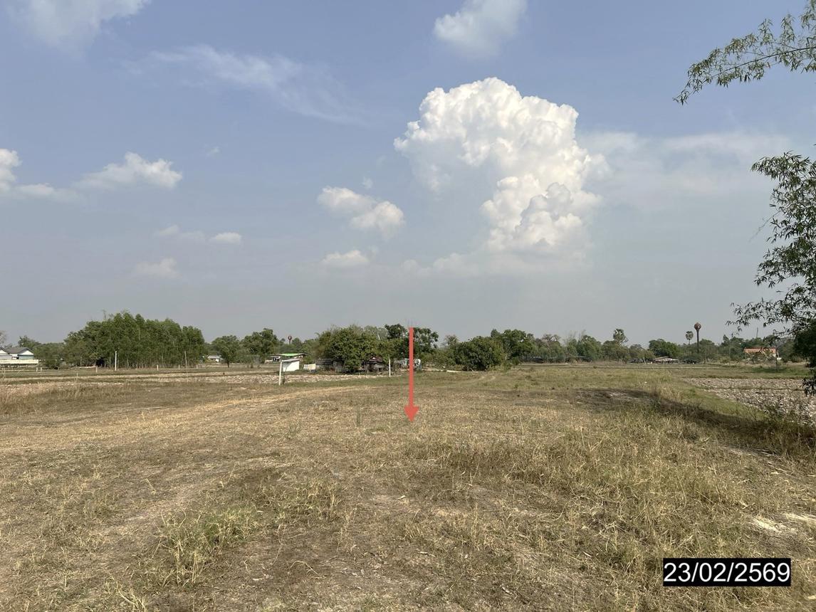 picture LAND 1067 Sq.w. Muang Ya Sothon Yasothon for 13.7M - 11/22