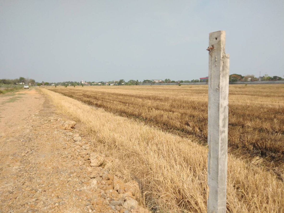 รูป ขายที่ดิน ผังสีม่วงเข้ม 7-1-70 ไร่ คลอง 9 ลำลูกกา ปทุมธานี - รูปที่ 2/7