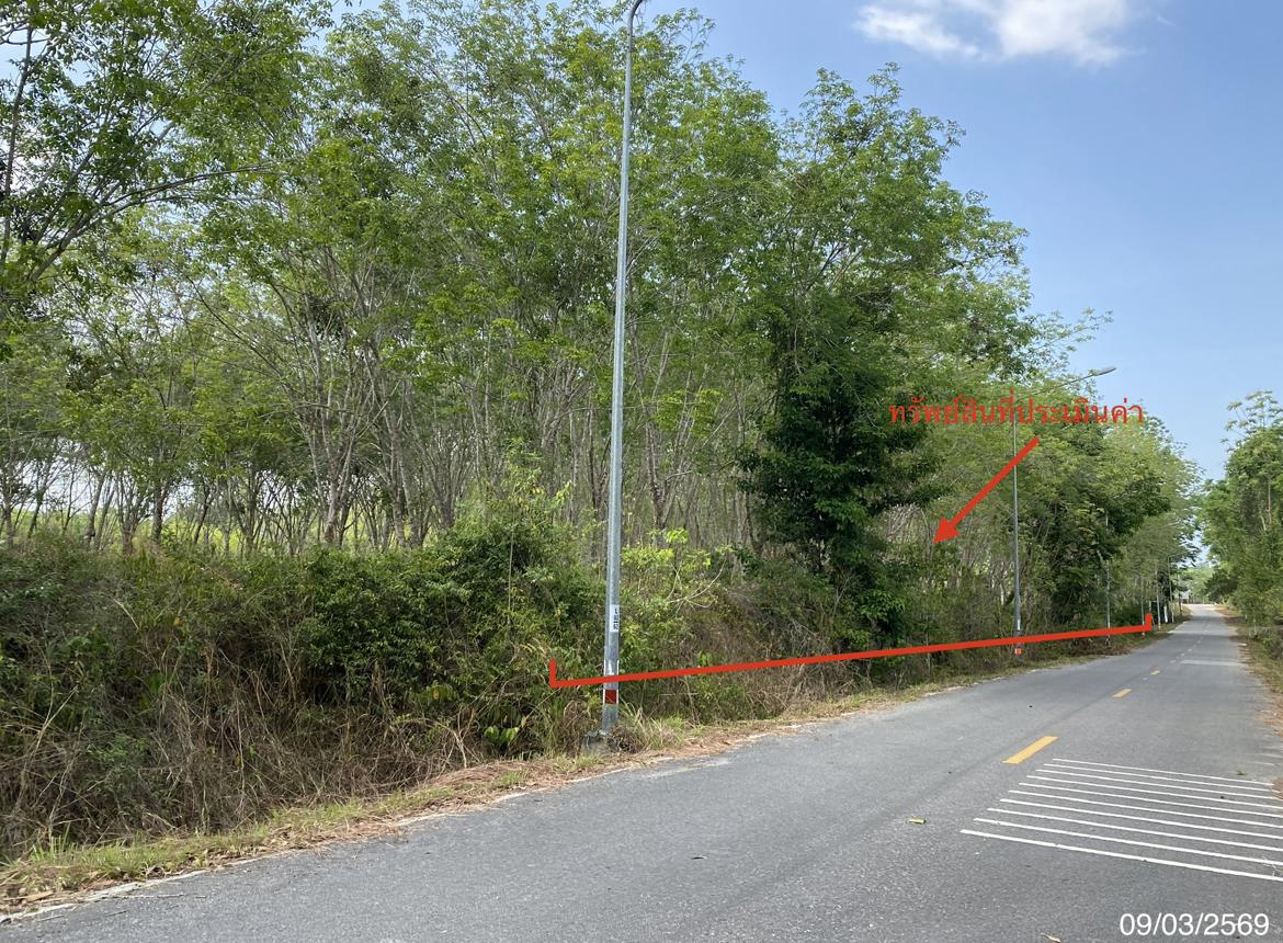 picture LAND 2400 Sq.w. Na Thawi Songkhla for 3.1M - 10/20