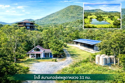 เช่าที่ดิน รพ.สัตหีบ กม.10 : ใกล้รร.สัตหีบ 1.3กม. มอเตอร์เวย์ สนามบินอู่ตะเภา 3.5 กม. ตลาดพลูตาหลวง 2.2 กม.มอเตอร์เวย์ 14ไร่ 41 ตร.วา. 1500 ตร.ม.