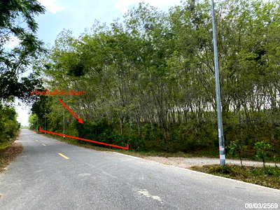 ที่ดิน สงขลา : ที่ดินว่างเปล่า สำหรับขาย - นาทวี นาทวี สงขลา