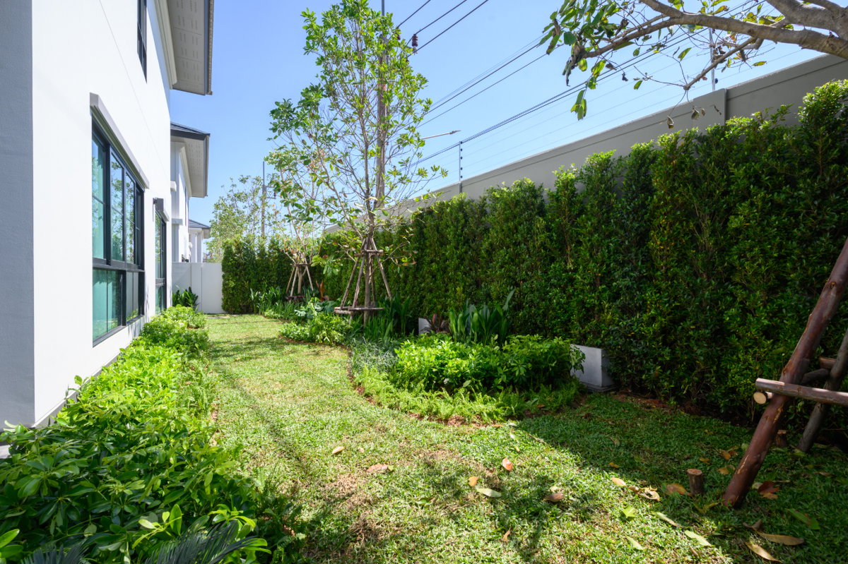 รูป 🏡💎 บ้านหรูให้เช่า เศรษฐสิริ เกาะแก้ว 4 ห้องนอน พื้นที่ใหญ่ 260 ตร.ม. เฟอร์ครบ พร้อมอยู่ ✨ - รูปที่ 35/43