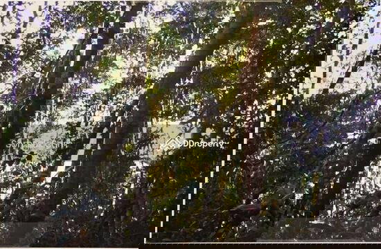 รูป ขายที่ดิน  ใกล้กับกุญชระบุรี รีสอร์ท  จ.ตราด - รูปที่ 4/4