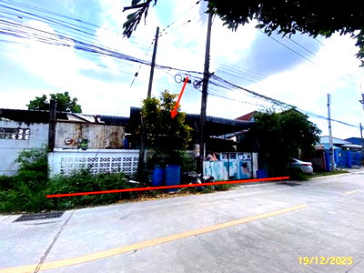 บ้านเดี่ยว สมุทรสาคร : บ้านเดี่ยว สำหรับขาย - สวนหลวง กระทุ่มแบน สมุทรสาคร