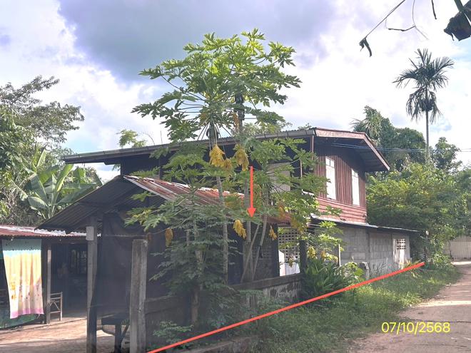 picture HOME 108 Sq.w. Pho Si Suwan Si Sa Ket for 1M - 1/24
