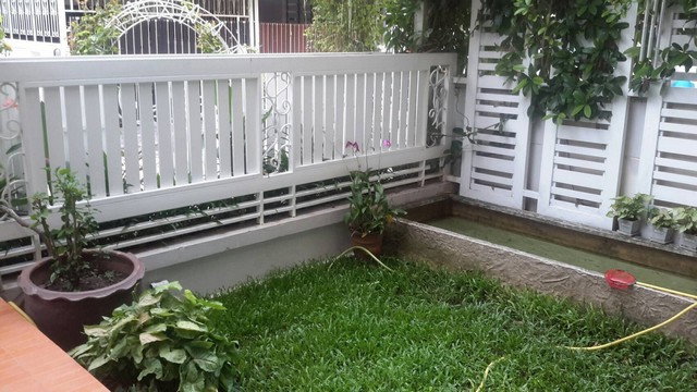 รูป HR3346[FOR RENT] ทาวน์เฮ้าส์ 3 ชั้น พื้นที่กว้าง 40 ตร.ว. หมู่บ้านไพโรจน์ 3 สเปซใหญ่ จอดรถได้ ใกล้ Central & Big C บางนา - รูปที่ 11/11