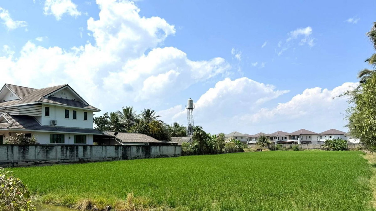 รูป ขายที่ดิน โซนสันทราย หนองจ๊อม ฟรีค่าโอน เหมาะสำหรับนำไปพัฒนา อยู่ในเขตเทศบาลเมืองแม่โจ้ - - รูปที่ 2/4