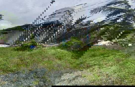 รูป ซื้อแล้วมีรายได้เลย! สวนมะพร้าวน้ำหอม 84 ไร่ สุพรรณบุรี พร้อมบ้านพัก -สาธารณูปโภคครบ - รูปที่ 8/8