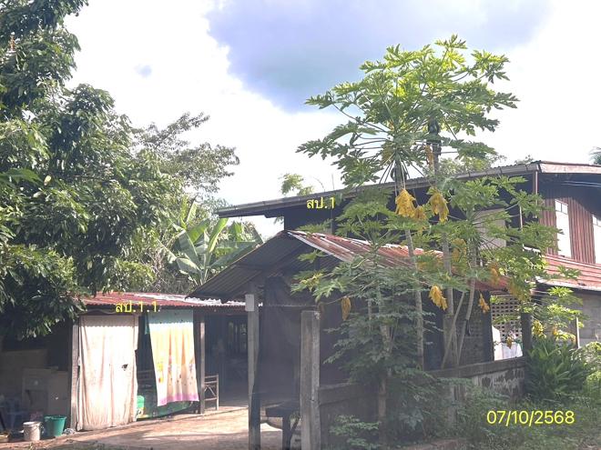 picture HOME 108 Sq.w. Pho Si Suwan Si Sa Ket for 1M - 3/24