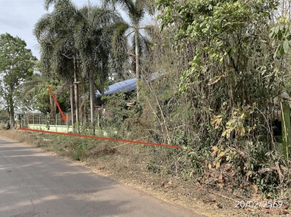 รูป บ้านเดี่ยว สำหรับขาย - นนทรี กบินทร์บุรี ปราจีนบุรี - รูปที่ 12/16