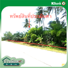 listing thumbnail image 9