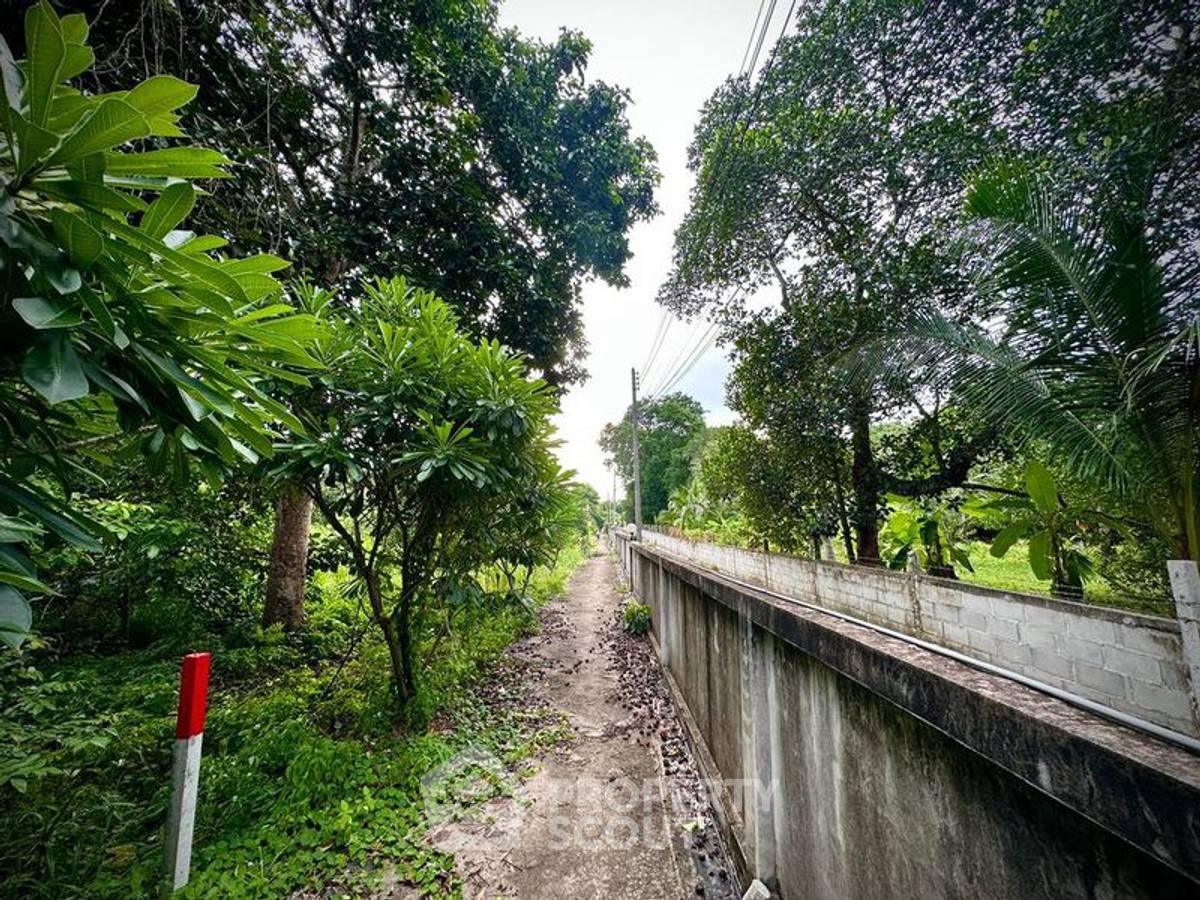 รูป ที่ดินสำหรับปล่อยขาย 1,000 ตารางเมตร แถว ใน สุรศักดิ์ (ID 2761851) - รูปที่ 13/15