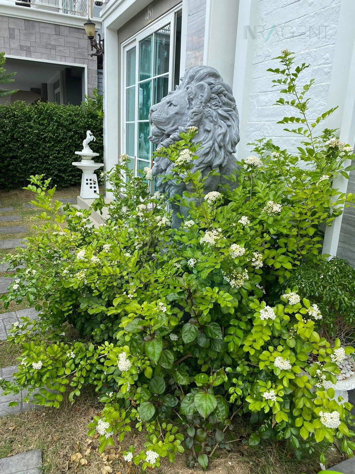 รูป 📌 ขายบ้านแฝด โครงการ โกลเด้น นีโอ สาทร 2 ชั้น 3 ห้องนอน 3 ห้องน้ำ - รูปที่ 3/8