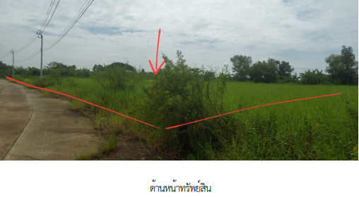 รูป ที่ดินว่างเปล่า, 815 ตร.วา, ที่ดินว่างเปล่า โครงการ รมณีย์เลคแลนด์ กรุงเทพมหานคร, หนองจอก, กรุงเทพมหานคร, 4.5M - รูปที่ 7/12