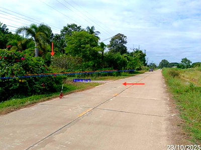 ที่ดินว่างเปล่า 135.3 ตร.วา เมืองพิษณุโลก พิษณุโลก 913,000