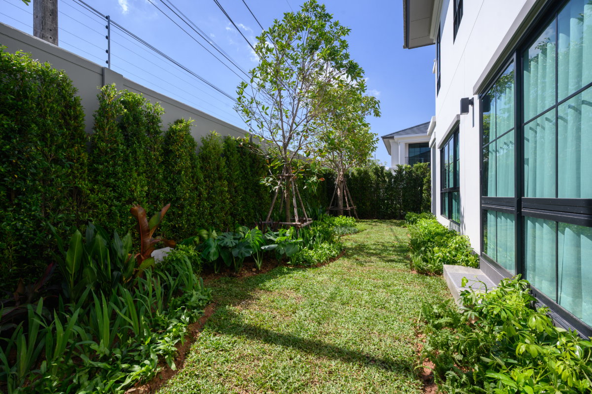 รูป 🏡💎 บ้านหรูให้เช่า เศรษฐสิริ เกาะแก้ว 4 ห้องนอน พื้นที่ใหญ่ 260 ตร.ม. เฟอร์ครบ พร้อมอยู่ ✨ - รูปที่ 37/43