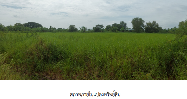 รูป ที่ดินว่างเปล่า, 815 ตร.วา, ที่ดินว่างเปล่า โครงการ รมณีย์เลคแลนด์ กรุงเทพมหานคร, หนองจอก, กรุงเทพมหานคร, 4.5M - รูปที่ 8/12