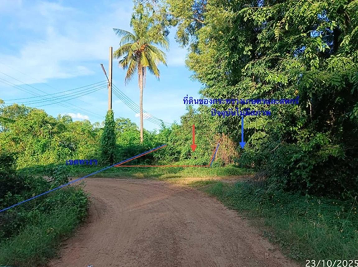 รูป ที่ดินว่างเปล่า สำหรับขาย - ท่าโพธิ์ เมืองพิษณุโลก พิษณุโลก - รูปที่ 10/16