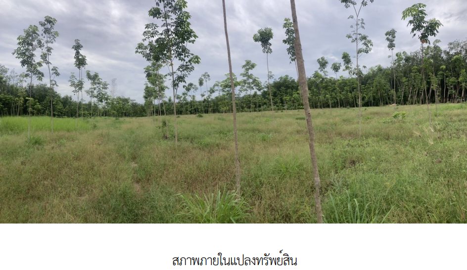 picture PROPERTY 3345.9 Sq.w. Ban Khai Rayong for 11.1M - 7/11