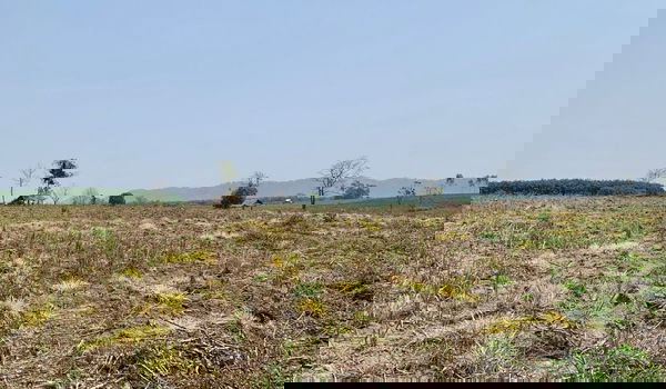 รูป ขายที่ดิน 100  ไร่  อ.เวียงเชียงรุ้ง จ.เชียงราย - รูปที่ 2/4