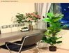 listing thumbnail image 7