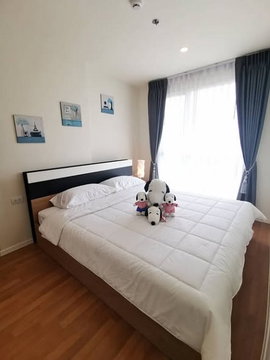 ให้เช่า The Selected condo (ตรงข้าม ม.เกษตร) ชั้น 12 เฟอร์และเครื่องใช้ไฟฟ้าครบครัน ทำสัญญา2ปี เพียง 12,000 บาท เท่านั้น