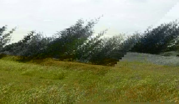 รูป ขายที่ดิน เกาะพระทอง จ.พังงา เนื้อที่ 39-2-30 ไร่ - รูปที่ 2/4