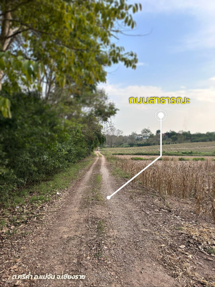 รูป ประกาศขายที่ดิน ทำเลศักยภาพ ใกล้ไร่ชาฉุยฟง แหล่งท่องเที่ยว ตำบลศรีค้ำ อำเภอแม่จัน - รูปที่ 4/11
