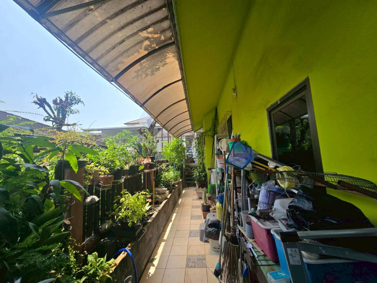 รูป ขายบ้านเดี่ยว สุขุมวิท101 ร่มรื่นเหมาะพักอาศัย ใกล้ BTS บางจาก (N.2041) - รูปที่ 2/13