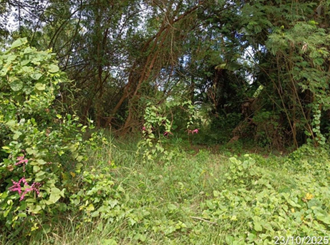 รูป ที่ดินว่างเปล่า สำหรับขาย - ท่าโพธิ์ เมืองพิษณุโลก พิษณุโลก - รูปที่ 12/16