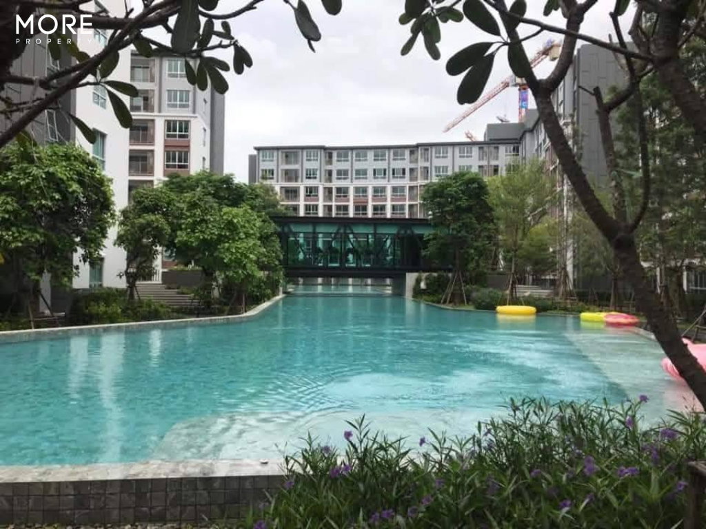 รูป ให้เช่า อไรซ์ คอนโด – เจริญเมือง คอนโดใหม่ ห้องสวย ฟรีอินเทอร์เน็ต (ID:622CR)  - รูปที่ 16/20