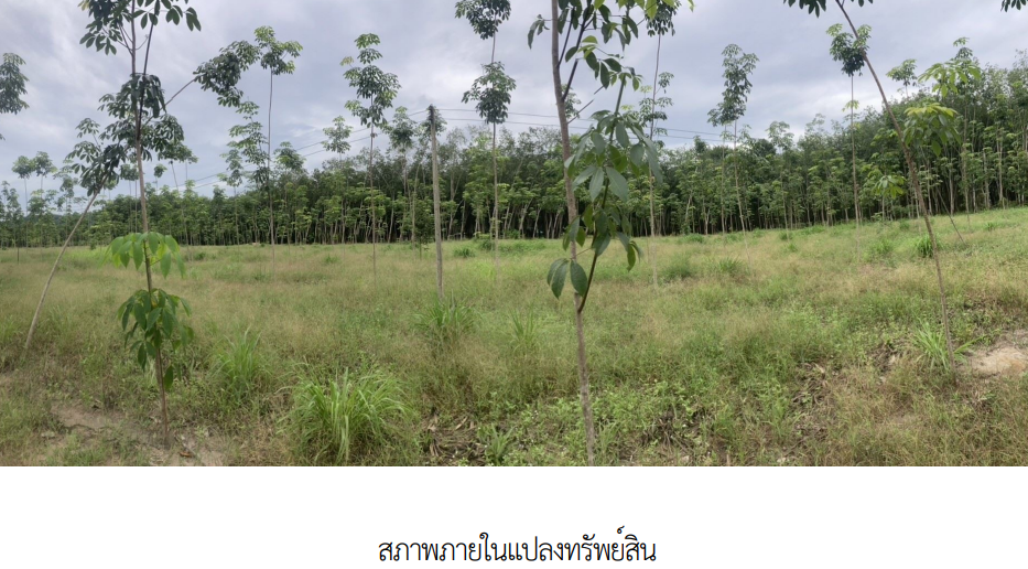 picture PROPERTY 3345.9 Sq.w. Ban Khai Rayong for 11.1M - 5/11