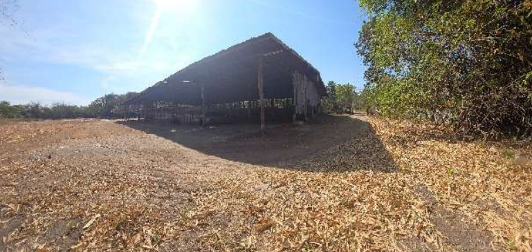 picture FACTORY, 5035 Sq.w., โกดัง โครงการ ชุมชนบ้านหนองตาใกล้ มหาสารคาม, Borabu, Maha Sarakham | 12.9M - 16/35