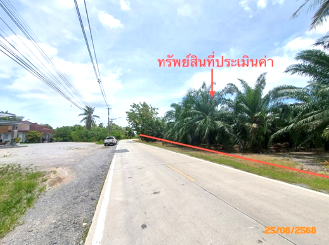 picture LAND for sale  Chaikhram Don Sak Surat Thani - 2/12