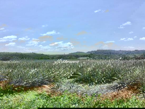 picture Land for sale, hill view, road access on 3 sides, Trat Province - 1/4