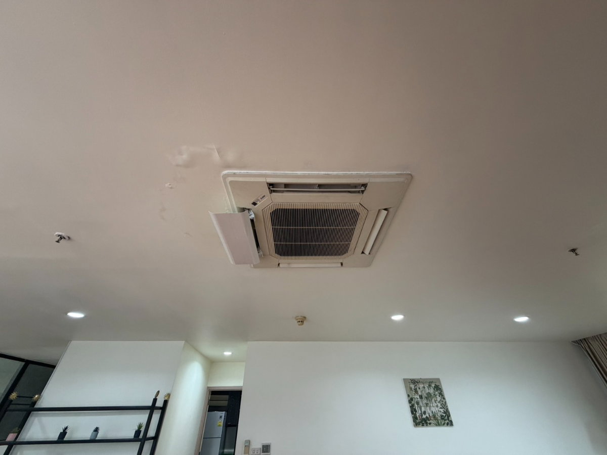 รูป Best Price 🔥ให้เช่า New House ห้องสวยพร้อมอ่างอาบน้ำ พื้นที่กว้าง ราคาดีมาก ตกแต่งครบพร้อมอยู่ | Code DS2211 Line : @Dstay - รูปที่ 34/34