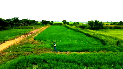 Land for sale : Land for sale in a beautiful location, usable area 100-160 square wah