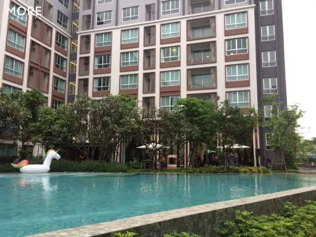 รูป ให้เช่า อไรซ์ คอนโด – เจริญเมือง คอนโดใหม่ ห้องสวย ฟรีอินเทอร์เน็ต (ID:622CR)  - รูปที่ 17/20