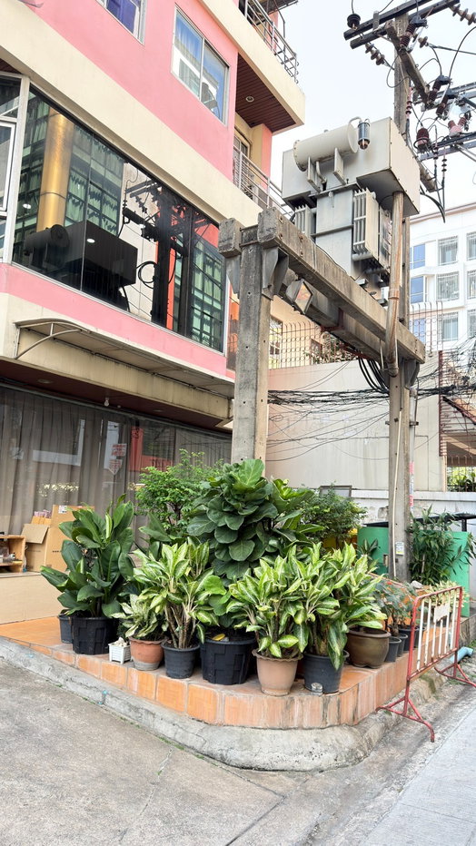 รูป 🔥ด่วน ห้องไปไวมากกก Code: 26KJ1571  ให้เช่า Ratchawipa Place ✅ Add Line @kjcondo (มี@ข้างหน้าด้วยนะคะ) - รูปที่ 12/14