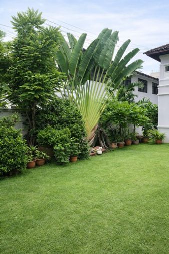 4-bed house for rent, 360 sqm, 70 sq wah, Khlong Toei